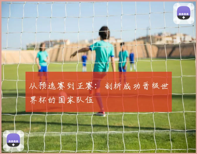 从预选赛到正赛：剖析成功晋级世界杯的国家队伍